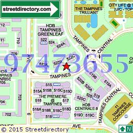 Blk 522B The Premiere @ Tampines (Tampines), HDB 5 Rooms #85303482
